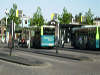 reptielendierenpark serpo Connexxion bus